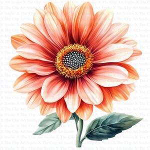 Clipart de várias flores em aquarela | 10 JPGs de alta qualidade | Download digital | Clipart de aquarela para impressão | Artesanato em papel | Impressão de flores