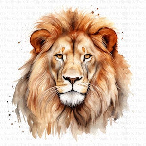 May include: A watercolor painting of a lion's face. The lion has a light brown mane and a dark brown face. The background is white with brown splatters.