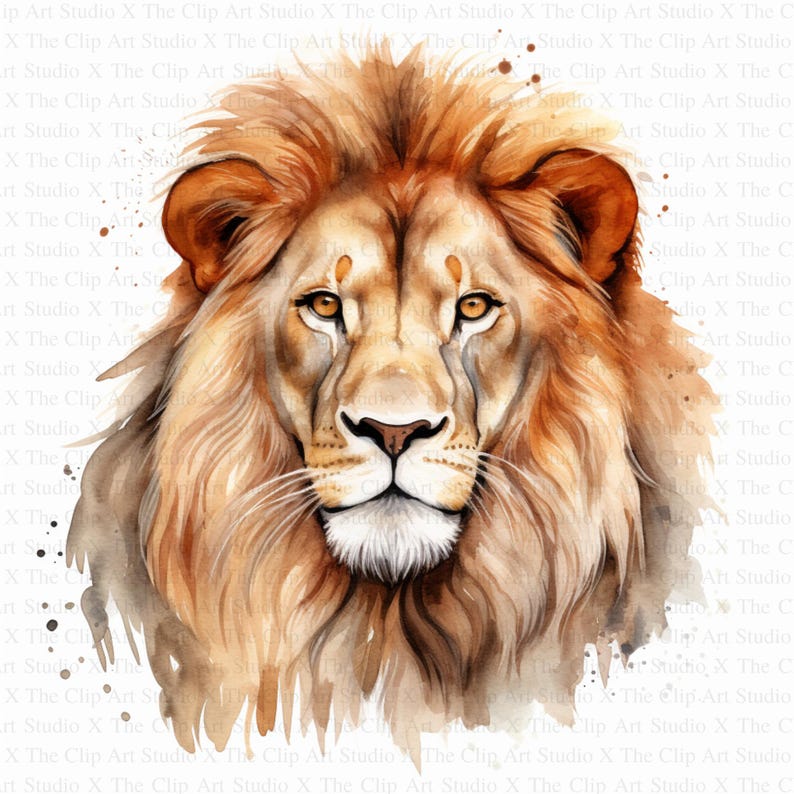 May include: A watercolor painting of a lion's face. The lion has a light brown mane and a dark brown face. The background is white with brown splatters.