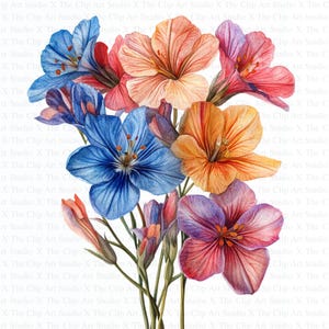 Vários clipart de flores | 10 JPGs de alta qualidade | Download digital | Impressão de flores | Clipart de aquarela para impressão, artesanato em papel, diários de lixo
