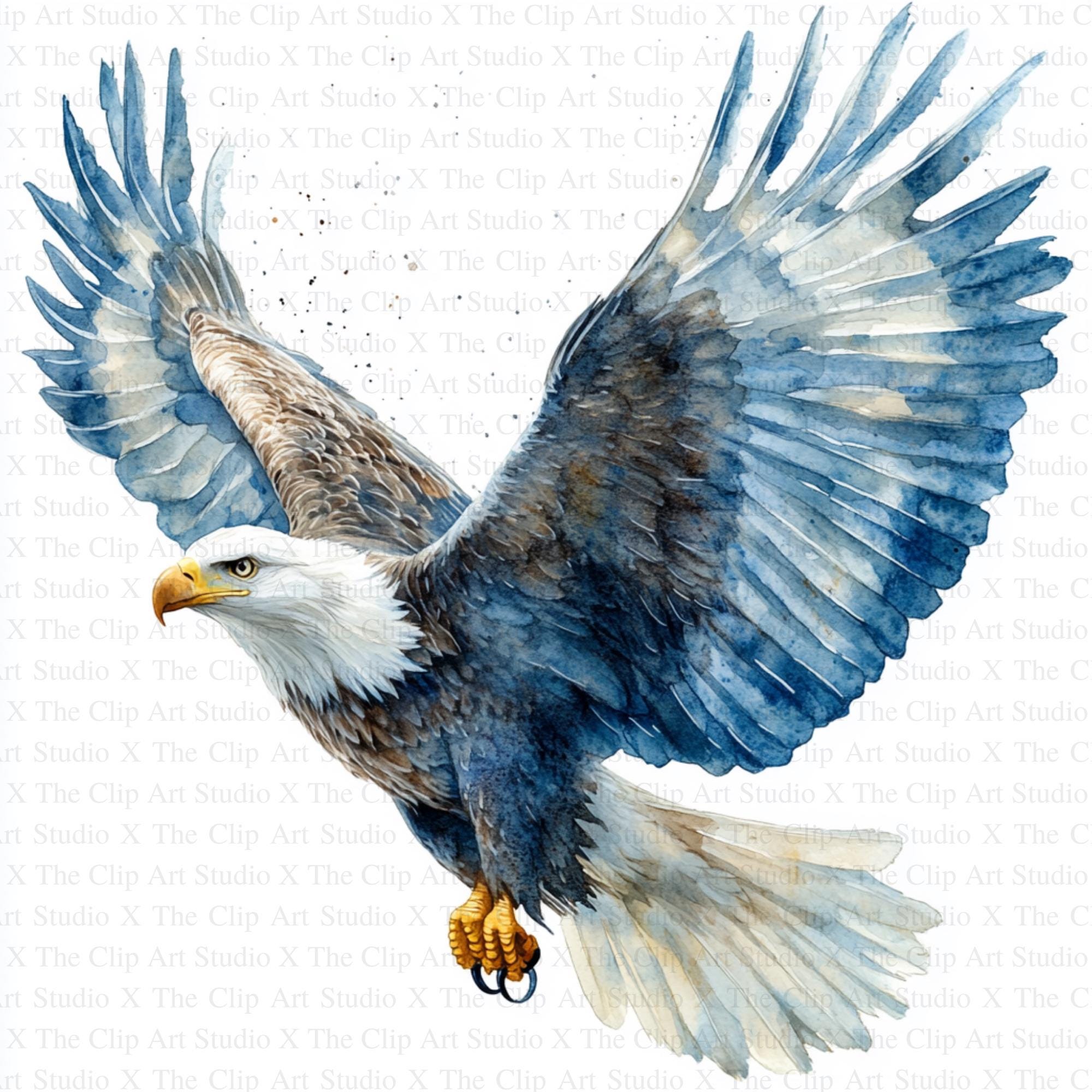 Eagle Clipart 10 High Quality Jpgs Instant Digital Download Card Making ...