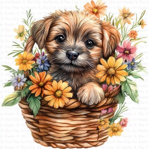 Puppies in Flower Basket Clipart | 10 High Quality JPGs | Digital Download | Card Making | Animal Clipart | Digital Paper Craft | Clip Art