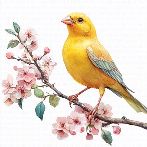 Canary Bird Clipart | 10 High Quality JPGs | Digital Download | Watercolor Canary | Watercolor Clipart | Digital Paper Craft | Junk Journal