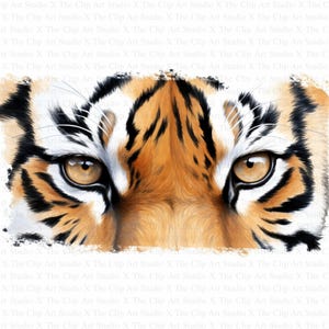 Tiger Eyes Clipart | 10 High Quality JPGs | Instant Digital download | Tiger Print | Printable Graphics | Scrapbooking | Digital Paper Craft