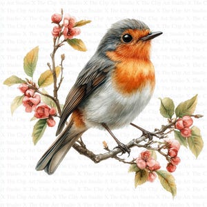 Clipart z wiosennym robinem | 10 wysokiej jakości plików JPG | Pobieranie cyfrowe | Sztuka przedszkolna | Tworzenie kartek | Clipart z robinem | Cyfrowe rzemiosło papierowe | Clipart