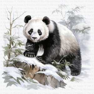 Panda Clipart | 10 JPGs de alta qualidade | Download digital | Criação de cartões | Impressão de panda | Gráficos imprimíveis | Artesanato em papel digital, Scrapbooking