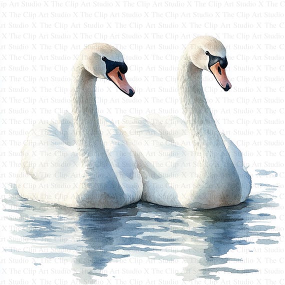 Swan Clipart | 10 High Quality Jpgs | Digital Download | Nursery
