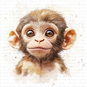 Affe Clipart | 10 hochwertige JPGs | Sofortiger digitaler Download | Kartengestaltung | Clip-Kunst Affe Druck | Digitales Papiermodell | Gärtnerische Kunst