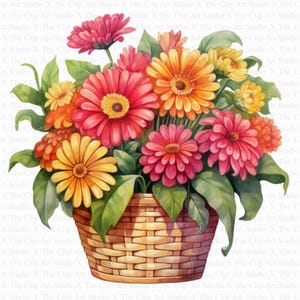 May include: Watercolor illustration of a basket overflowing with colorful gerbera daisies. The flowers are in shades of red, orange, and yellow, with green leaves. The basket is woven and has a natural brown color.