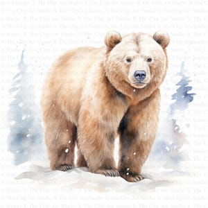 Bear in Winter Clipart | 10 High Quality JPGs | Digital Download | Digital Paper Crafts | Junk Journals | Scrapbooking | Watercolor Clipart