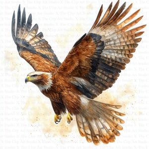 Steinadler Clipart | 10 hochwertige JPGs | Sofortiger digitaler Download | Kartengestaltung | Tier Clipart | Digitales Papiermodell | Scrapbooking