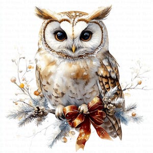 Clipart hibou de Noël | 10 fichiers JPG de haute qualité | Téléchargement numérique | Scrapbooking | Clipart aquarelle | Créations numériques en papier | Journaux indésirables