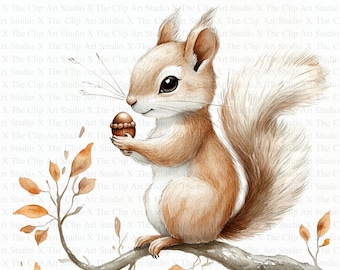 Watercolor Squirrel Clipart | 10 High Quality JPGs | Digital Download | Digital Paper Craft | Scrapbooking | Mixed Media | Animal Clipart