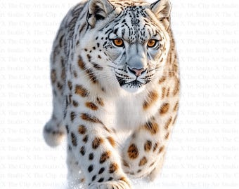 Clipart de leopardo de las nieves / 10 archivos JPG de alta calidad / Descarga digital / Manualidades de papel / Revistas basura / Scrapbooking / Clipart de acuarela imprimible
