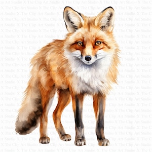 Clipart magnifique renard | 10 fichiers JPG de haute qualité | Téléchargement numérique | Journal indésirable | Renard de luxe | Renard doré | Clipart aquarelle | Créations en papier