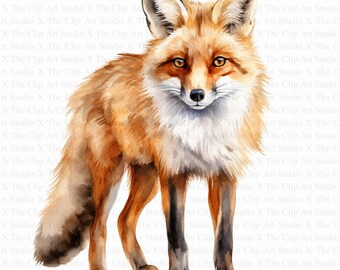 Gorgeous Fox Clipart | 10 High Quality JPGs | Digital Download | Junk Journal | Luxury Fox | Golden Fox | Watercolor Clipart | Paper Crafts