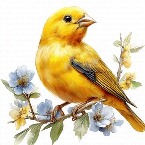 Canary Bird Clipart | 10 High Quality JPGs | Digital Download | Digital Paper Craft | Junk Journal | Watercolor Canary | Watercolor Clipart