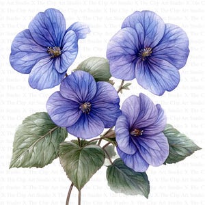 Clipart Violets | 10 wysokiej jakości JPG | Pobieranie cyfrowe | Planery cyfrowe | Dzienniki śmieciowe | Księgi pamięci | Clipart | Clipart botaniczny