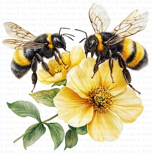 Bees in Flowers Clipart | 10 High Quality JPGs | Instant Digital download | Floral Bees Clipart | Printable Watercolor Clipart | Paper Craft