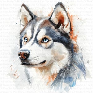Husky Portrait | 10 High Quality JPGs | Digital Download | Nursery Art | Card Making | Cute Dog Clipart | Digital Paper Craft | Scrapbooking