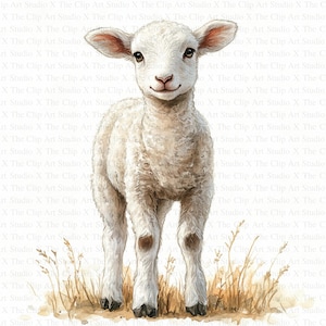 Lamb Clipart | 10 High Quality JPGs | Instant Digital Download | Commercial Use | Scrapbooking | Mixed Media | Clip Art | Cute Lamb Graphics