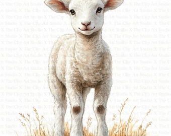 Lamb Clipart | 10 High Quality JPGs | Instant Digital Download | Commercial Use | Scrapbooking | Mixed Media | Clip Art | Cute Lamb Graphics
