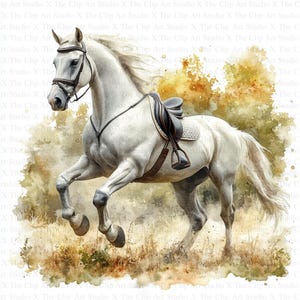 Clipart de caballo blanco / 10 archivos JPG de alta calidad / Descarga digital instantánea / Creación de tarjetas / Clipart de animales lindos / Manualidades con papel digital, arte infantil