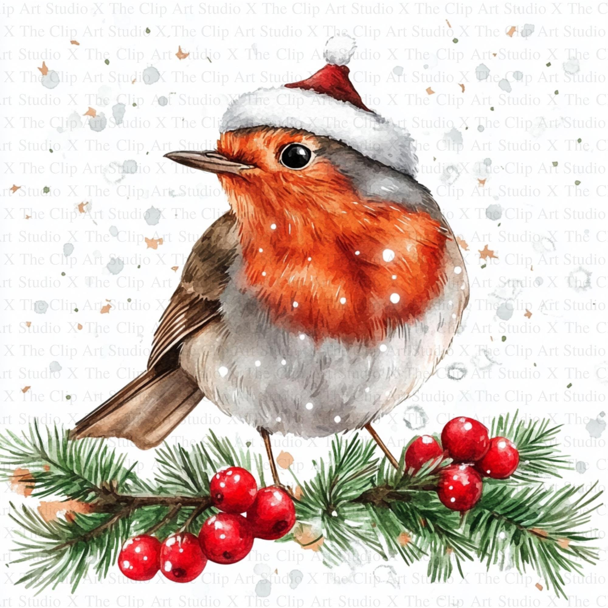 Christmas Robin Clipart | 10 High Quality Jpgs | Digital Download ...