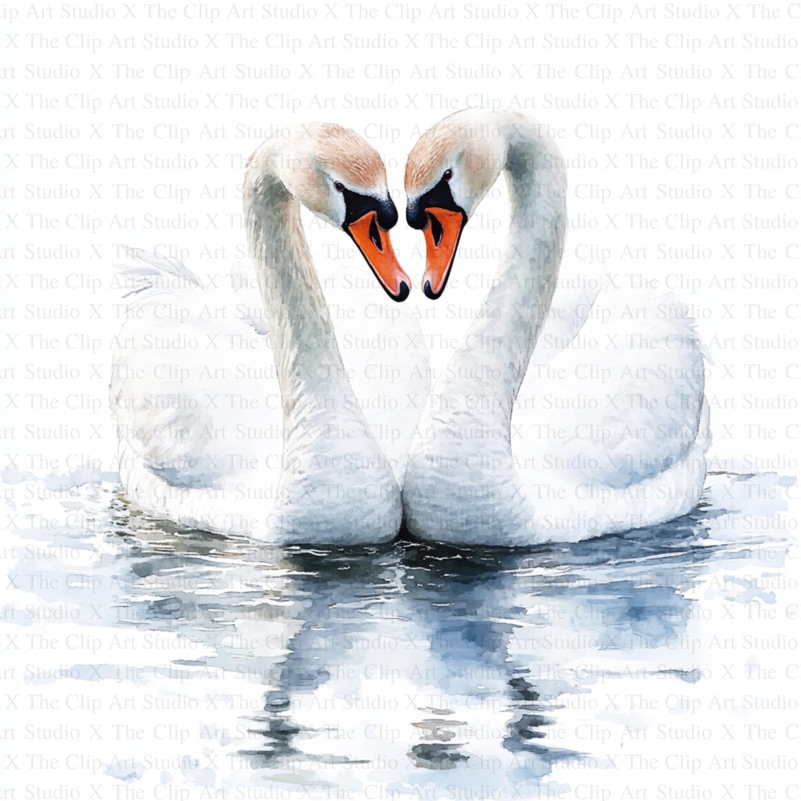 Swan Couple Clipart | 10 High Quality Jpgs | Digital Download ...