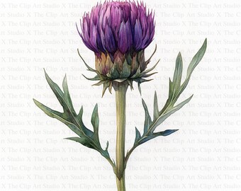 Distel-clipart | 10 JPG's van hoge kwaliteit | Digitale download | Botanische kunst | Plakboeken | Kaarten maken | Journalen | Digitale papiermodellen