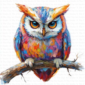 Watercolor Owl Clipart | 10 High Quality JPGs | Digital Download | Card Making | Clip Art | Owl Print | Digital Paper Craft | Nursery Art