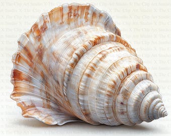 Seashells Clipart | 10 High Quality JPGs | Digital download | Paper Craft | Junk Journal | Seashell Clipart | Printable Watercolor Clipart