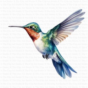 Hummingbird Clipart | 10 High Quality JPGs | Digital Download | Paper Craft | Junk Journal | Adorable Colibri | Printable Watercolor Clipart