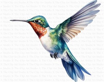 Hummingbird Clipart | 10 High Quality JPGs | Digital Download | Paper Craft | Junk Journal | Adorable Colibri | Printable Watercolor Clipart