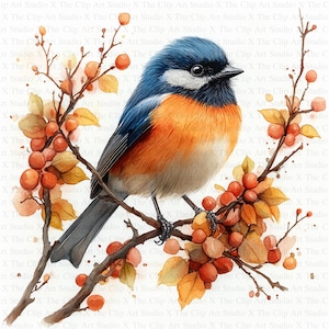 Clipart mésange | 10 fichiers JPG de haute qualité | Téléchargement numérique | Créations numériques en papier | Clipart | Art pour chambre d'enfant | Fabrication de cartes | Clipart oiseau mignon