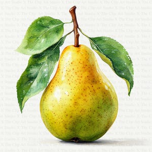 Clipart di pere ad acquerello / 10 JPG di alta qualità / Download digitale / Arte per bambini / Clipart / Creazione di biglietti / Artigianato di carta digitale / Scrapbooking