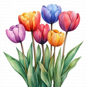 Clipart lentebloemen | 10 hoogwaardige png-bestanden | Digitale download | Tulpen Clipart | Aquarel clipart | Digitaal papiermodel | Ongewenste tijdschriften