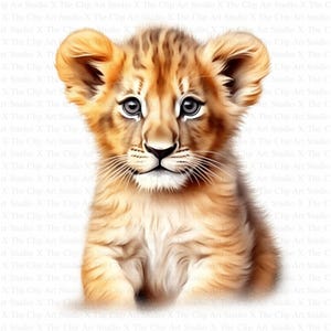 Clipart di un cucciolo di leone / 10 JPG di alta qualità / Download digitale / Clipart di acquerelli stampabili / Artigianato di carta / Scrapbooking / Leone per la cameretta dei bambini