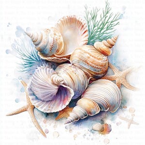 Gorgeous Seashells Clipart | 10 High Quality JPGs | Digital Download | Seashell Clipart | Watercolor Clipart | Paper craft | Junk Journals