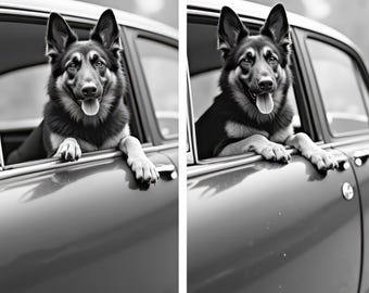 Vintage German Shepherd Car Photo, Black and White Dog Art (Digital Download)