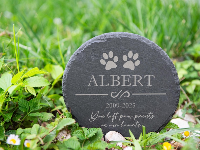 Puede incluir: Una l&aacute;pida redonda de pizarra gris oscuro con el nombre "ALBERT", huellas de patas, las fechas 2009-2025 y la inscripci&oacute;n "You left paw prints on our hearts". La piedra est&aacute; colocada en hierba verde.