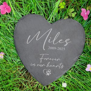Puede incluir: Una l&aacute;pida en forma de coraz&oacute;n de pizarra gris con el nombre "Miles" y las fechas "2009-2025" grabadas en escritura blanca. El texto "Forever in our hearts" y una huella de pata tambi&eacute;n est&aacute;n grabados. La piedra descansa sobre hierba verde con flores rosas y blancas.