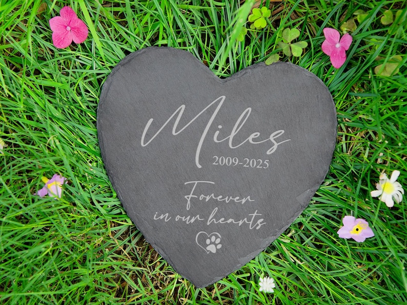Puede incluir: Una l&aacute;pida en forma de coraz&oacute;n de pizarra gris con el nombre "Miles" y las fechas "2009-2025" grabadas en escritura blanca. El texto "Forever in our hearts" y una huella de pata tambi&eacute;n est&aacute;n grabados. La piedra descansa sobre hierba verde con flores rosas y blancas.