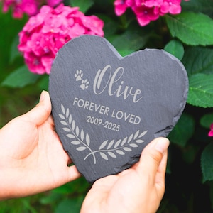 Puede incluir: Una l&aacute;pida de pizarra en forma de coraz&oacute;n con el nombre "Olive", huellas de patas y la inscripci&oacute;n "FOREVER LOVED 2009-2025". La piedra gris se sostiene en las manos, con un dise&ntilde;o de corona floral y rodeada de flores rosas.