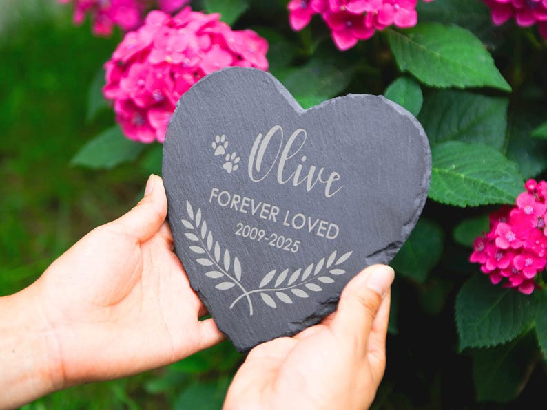 Puede incluir: Una l&aacute;pida de pizarra en forma de coraz&oacute;n con el nombre "Olive", huellas de patas y la inscripci&oacute;n "FOREVER LOVED 2009-2025". La piedra gris se sostiene en las manos, con un dise&ntilde;o de corona floral y rodeada de flores rosas.