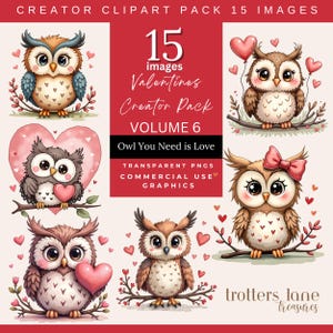 Clipart hibou de la Saint-Valentin | Graphiques de couple hibou | Oeuvre d'art romantique hibou des bois | PNG transparents hibou | Utilisation commerciale Téléchargement