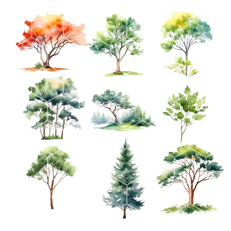 Watercolor Trees Clipart Set: PNG Images for Commercial Use - Forest ...