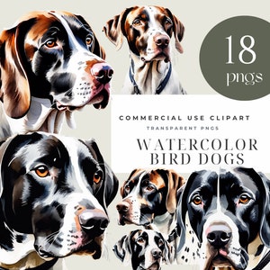 May include: Watercolour illustrations of 18 bird dogs in various poses. The dogs are all white with black and brown markings. The illustrations are in a realistic style and are perfect for use in digital or printed projects.