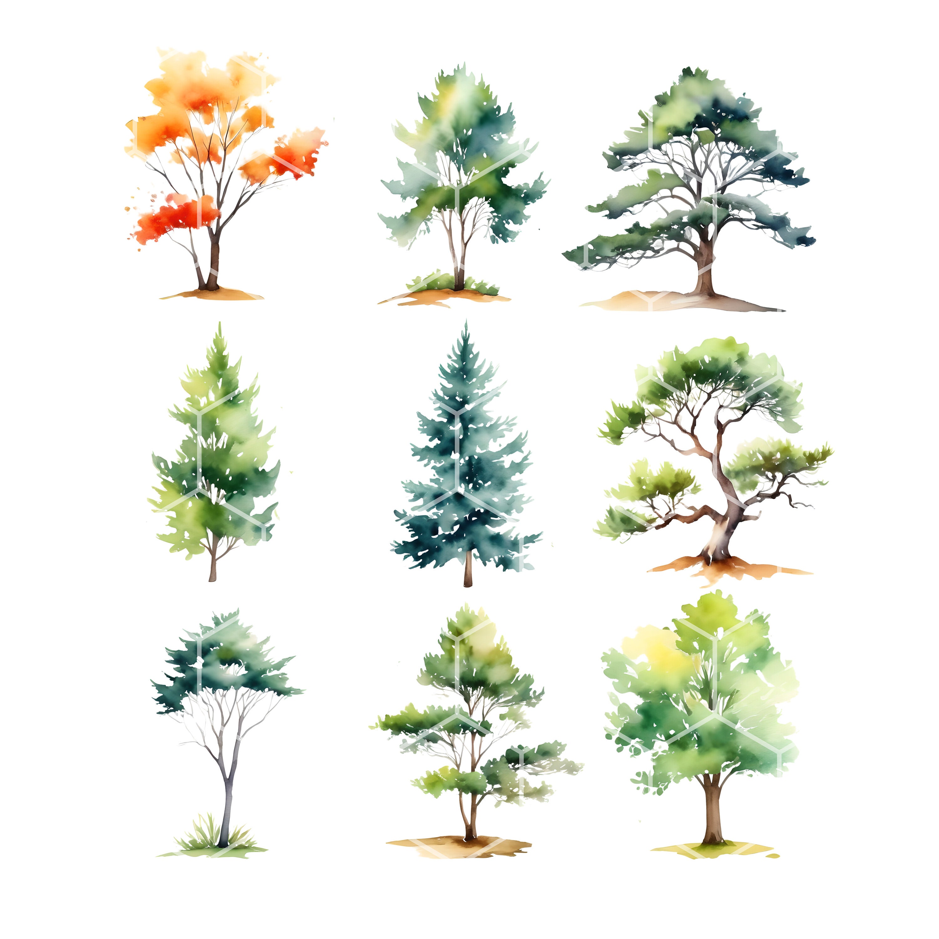 Watercolor Trees Clipart Set: PNG Images for Commercial Use - Forest ...