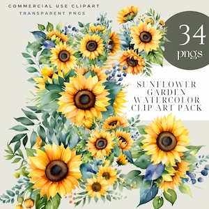 Clipart tournesol, tournesols PNG, tournesol aquarelle Clipart Pack - 34 PNG, clipart tournesols, usage Commercial, couronne de tournesol, fleur